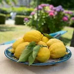 Gelsomino Σπίτι διακοπών *