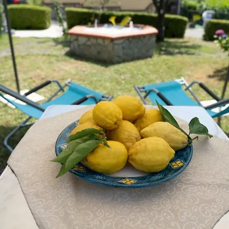 Gelsomino *